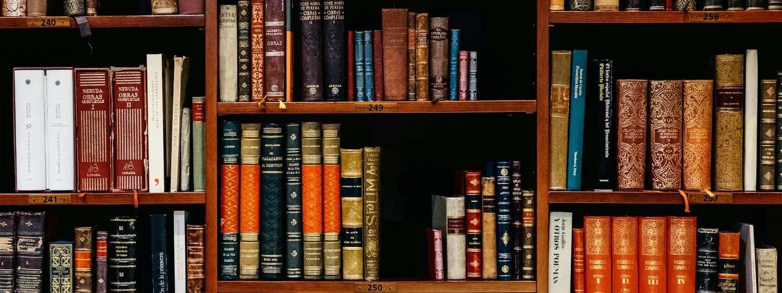 Vintage bookshelf filled with leather-bound books representing knowledge and guides